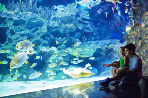 National Aquarium Baltimore